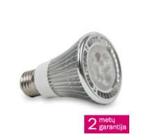 LED lemputė Standard 6W