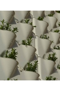 Vetikalieji sodai / Zaliosios sienos - Minigarden Vertical