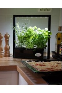 LED augalams - mini sodas Eco Herb