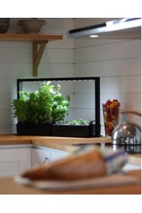 LED augalams - mini sodas Eco Herb Duo