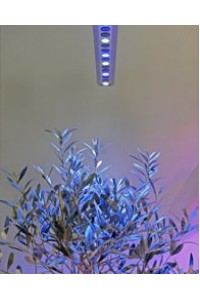 LED augalams - šviestuvas Quattro