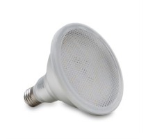 LED lemputė Winter 15W