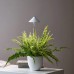 LED augalų lempa SunLite